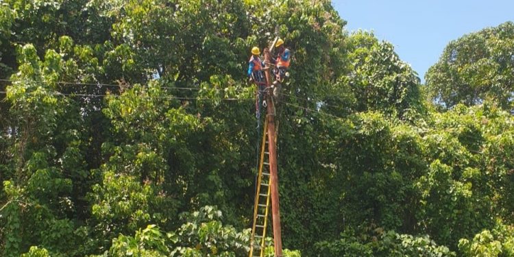PLN ULP Bula Gerak Cepat Pulihkan Sistem Kelistrikan di Dusun Niff
