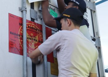 16,2 Ton Tuna Beku Asal Maluku Diekspor ke Amerika