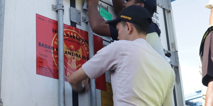 16,2 Ton Tuna Beku Asal Maluku Diekspor ke Amerika