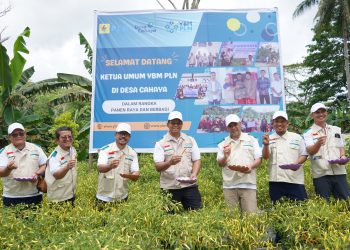 YBM PLN UIW MMU Gelar Panen Raya Sekaligus Salurkan Bantuan bagi Peternak dan Petani di Pulau Ambon