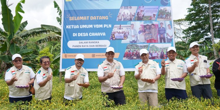 YBM PLN UIW MMU Gelar Panen Raya Sekaligus Salurkan Bantuan bagi Peternak dan Petani di Pulau Ambon