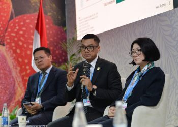 PLN Siap Dukung Pemerintah Capai 75% Energi Terbarukan Hingga Tahun 2040