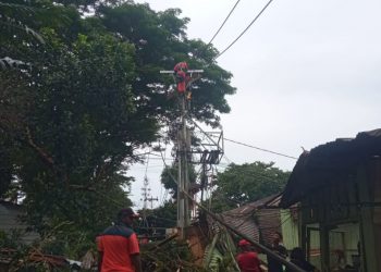 Gerak Cepat PLN UIW MMU Atasi Dampak Pohon Tumbang  Akibat Cuaca Ekstrem di OSM-Ambon
