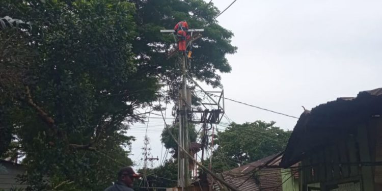 Gerak Cepat PLN UIW MMU Atasi Dampak Pohon Tumbang  Akibat Cuaca Ekstrem di OSM-Ambon