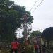 Gerak Cepat PLN UIW MMU Atasi Dampak Pohon Tumbang  Akibat Cuaca Ekstrem di OSM-Ambon
