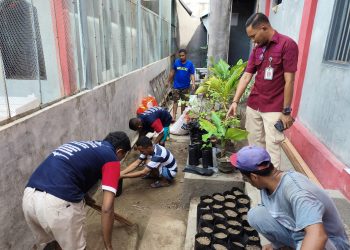 World Soil Day 2024, Lapas Wahai Olah Tanah Dukung Ketahanan Pangan