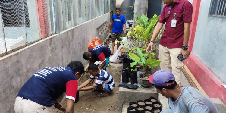 World Soil Day 2024, Lapas Wahai Olah Tanah Dukung Ketahanan Pangan