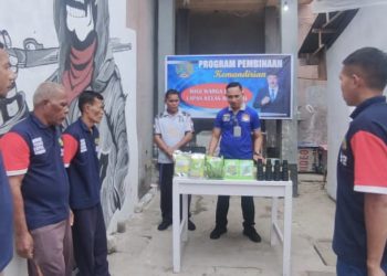 Lapas Wahai Lakukan Penyemaian Benih Tanaman Hidroponik