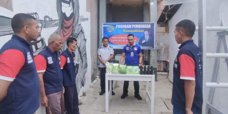 Lapas Wahai Lakukan Penyemaian Benih Tanaman Hidroponik