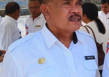 Mitan Tidak Langka, Pemkot Ambon: Stok Mampu Akomodir Kebutuhan Warga