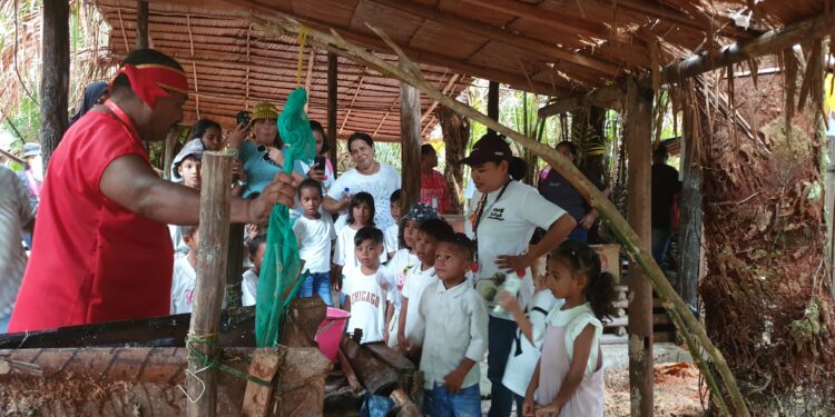 Pertamina Patra Niaga Regional Pamalu Gelar Sekolah Lapangan Pengenalan Pangan Lokal Sagu di Negeri Rutong