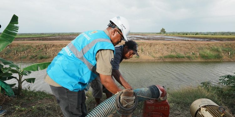Dukung Tranformasi Pertanian Modern, _Electrifying Agriculture_ PLN Raih 53.539 Pelanggan Baru di Tahun 2024