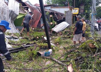 Bencana Pohon Tumbang dan Rumah Rusak Terjadi Dibeberapa Titik di Kota Ambon