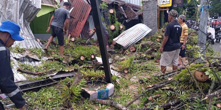 Bencana Pohon Tumbang dan Rumah Rusak Terjadi Dibeberapa Titik di Kota Ambon