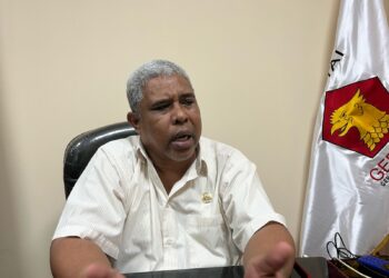 Laipeny Desak BWS Maluku Segera Turunkan Tim Identifikasi Penyebab Banjir di Tepa