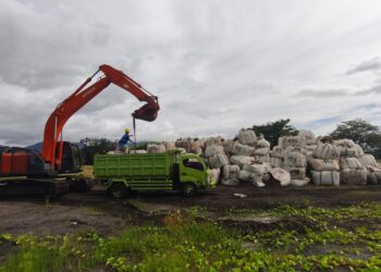 PLN EPI Pasok 350 Tom Cangkang Sawit Via Laut ke PLTU Tidore
