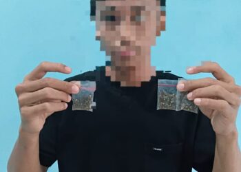 Ungkap Empat Kasus Peredaran Gelap Narkoba di Ambon Polda Maluku Tangkap 5 Tersangka