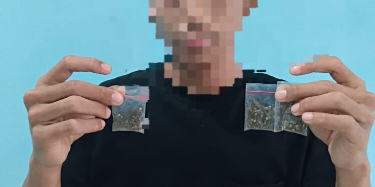 Ungkap Empat Kasus Peredaran Gelap Narkoba di Ambon Polda Maluku Tangkap 5 Tersangka