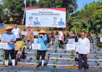 Tekan Inflasi, Gubernur Maluku Canangkan Gerakan Sekolah Menanam