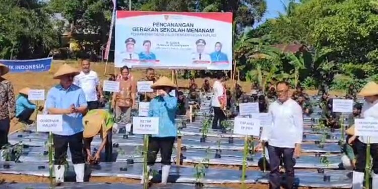Tekan Inflasi, Gubernur Maluku Canangkan Gerakan Sekolah Menanam