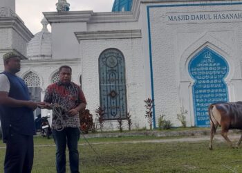 Ketua DPRD Maluku Serahkan Hewan Kurban Kepada Pengurus Masjid Darul Hasanah Desa Poka