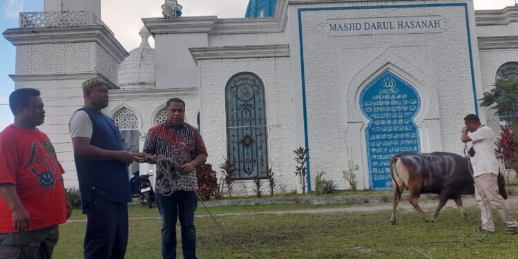 Ketua DPRD Maluku Serahkan Hewan Kurban Kepada Pengurus Masjid Darul Hasanah Desa Poka