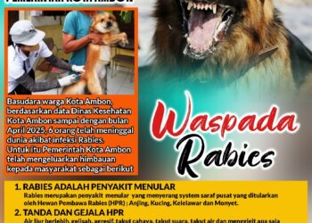 Warga Ambon Dihimbau Untuk Waspada Anjing Rabies