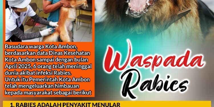 Warga Ambon Dihimbau Untuk Waspada Anjing Rabies