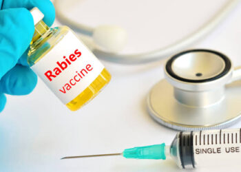 8.000 VAR Akan Tiba, Pemkot Targetkan Kota Ambon Bebas Dari Rabies