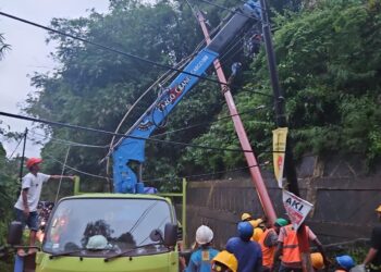 PLN UP3 Ambon Gerak Cepat Pulihkan Listrik akibat Pohon Tumbang di Tengah Hujan Deras