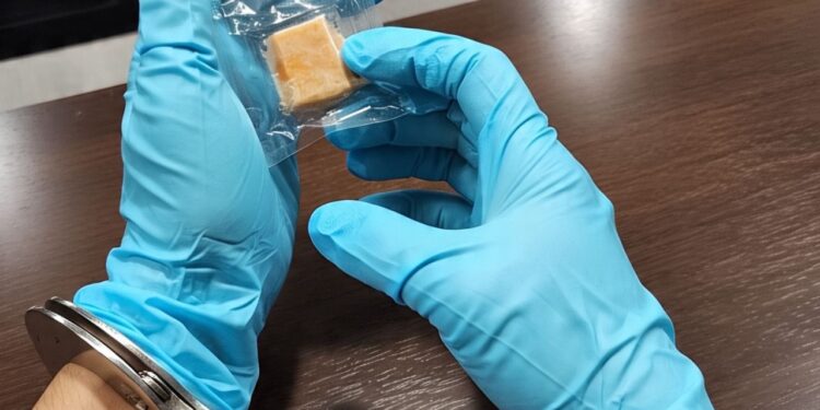 Polres SBB Tangkap Oknum Pegawai Puskesmas Pengguna Narkoba