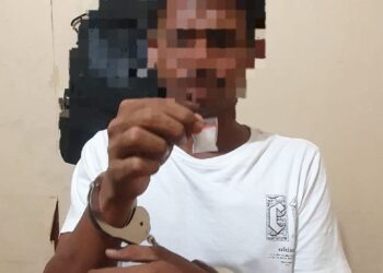 Polda Maluku Tangkap Empat Pelaku Narkoba