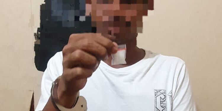 Polda Maluku Tangkap Empat Pelaku Narkoba