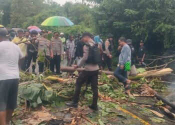 Warga Nuruwe SBB Palang Jalan Trans Seram