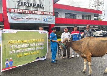Pertamina Patra Niaga Regional Papua Maluku Salurkan 136 Hewan Kurban di Wilayah Ring 1 Perusahaan