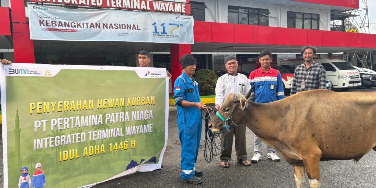Pertamina Patra Niaga Regional Papua Maluku Salurkan 136 Hewan Kurban di Wilayah Ring 1 Perusahaan