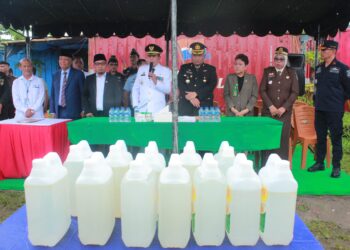 Pemkot Ambon Dorong Regulasi Produksi Sopi Dari Ancaman