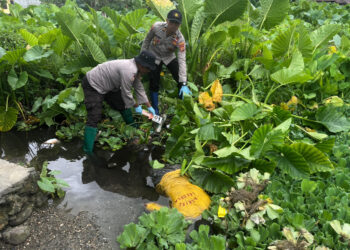 Polsek Leksula Olah TKP dan Evakuasi Mayat Yang Ditemukan Warga