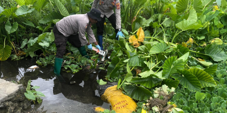 Polsek Leksula Olah TKP dan Evakuasi Mayat Yang Ditemukan Warga