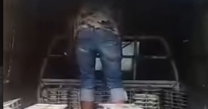 Penemuan Ulat di Ompreng Siswa, Pemkot Surati Tiap Sekolah Periksa Makanan Sebelum Dimakan