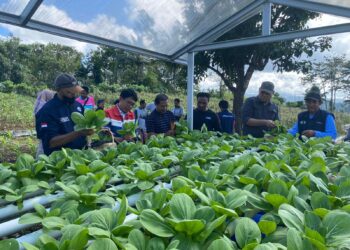 Hydro Bae, Inovasi Sosial CSR Pertamina Untuk Meningkatkan Ekonomi Masyarakat Desa Wayame Melalui Akses Air Bersih dan Pemberdayaan UMKM