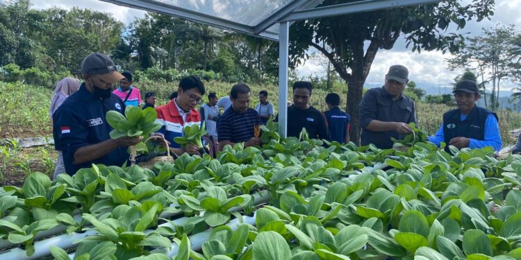 Hydro Bae, Inovasi Sosial CSR Pertamina Untuk Meningkatkan Ekonomi Masyarakat Desa Wayame Melalui Akses Air Bersih dan Pemberdayaan UMKM