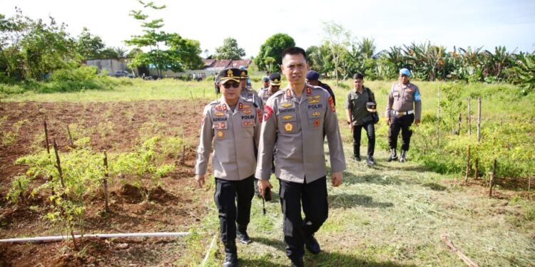 Tinjau Kebun Ketahanan Pangan Polres Tual, Kapolda Maluku Apresiasi Upaya Mandiri Personel