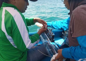 Pertamina Gandeng DLH Lestarikan Ekosistem Pesisir Laut Waupnor