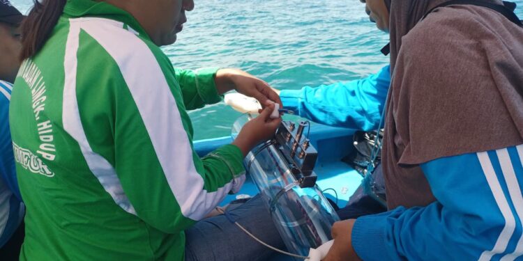 Pertamina Gandeng DLH Lestarikan Ekosistem Pesisir Laut Waupnor