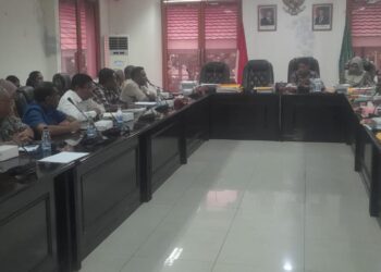 Tim Percepatan CDOB Kepulauan Babar Damer Minta Dukungan DPRD Maluku