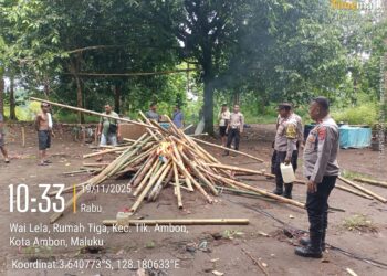 Resahkan Warga, Polsek Teluk Ambon Bongkar Arena Sabung Ayam di Dusun Taeno Bawah