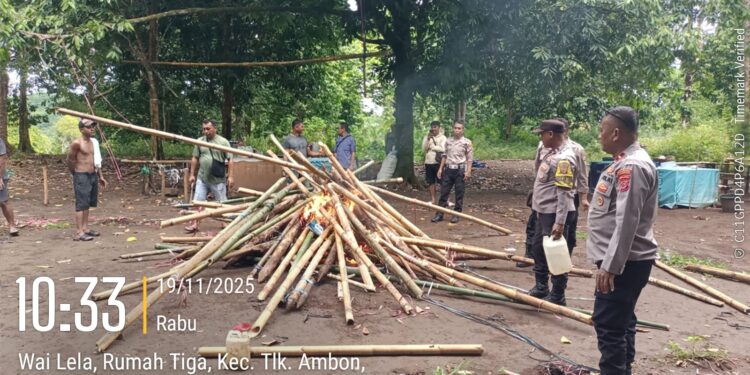 Resahkan Warga, Polsek Teluk Ambon Bongkar Arena Sabung Ayam di Dusun Taeno Bawah