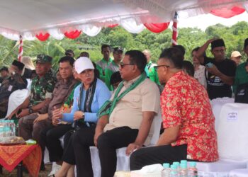 Wagub Vanath Dorong Modernisasi Pertanian Lewat Penanaman Hotong di Telaga Kodok Ambon
