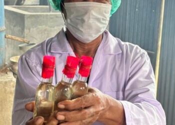 Pertamina Patra Niaga Papua Maluku Siap Perkenalkan Minyak Atsiri Duskar Wangi